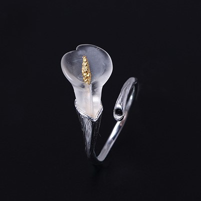 オランダカイウのリング