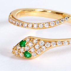 お客様の声の紹介　金運を招く蛇のアクセサリー