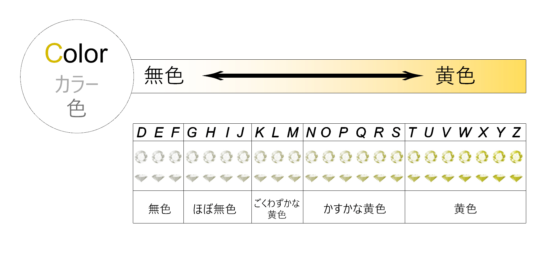 カラー color (色)