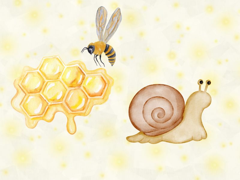 生き物をモチーフにしたデザイン