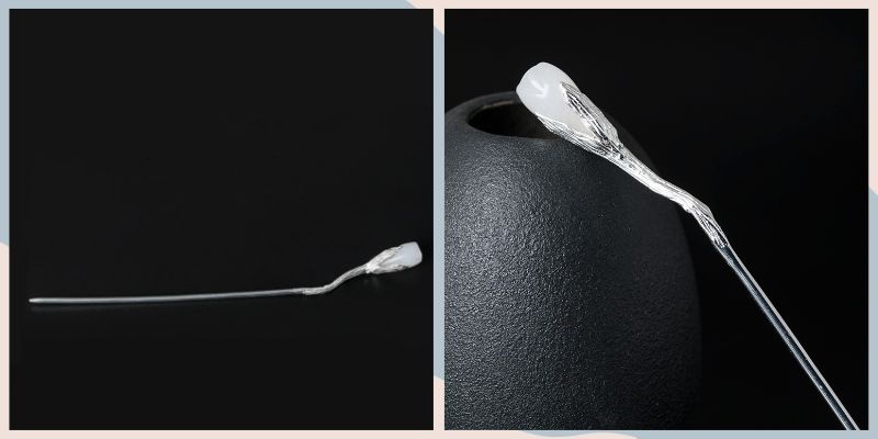 ハクモクレンのかんざし