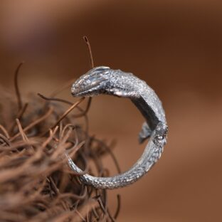 火蜥蜴モチーフの高級リングで魅力と勇気を身につけよう！ R295