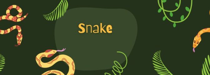 蛇の魅力を身に纏う - 美しさと幸運を呼ぶ蛇モチーフアクセサリー　特集