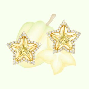 スターフルーツのピアス - 自然美感じるデザインでおしゃれを彩るP123