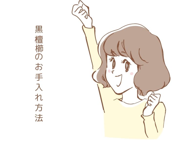 黒檀櫛のお手入れ方法