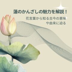 蓮のかんざしの魅力を解説！花言葉から知る古今の意味や由来に迫る