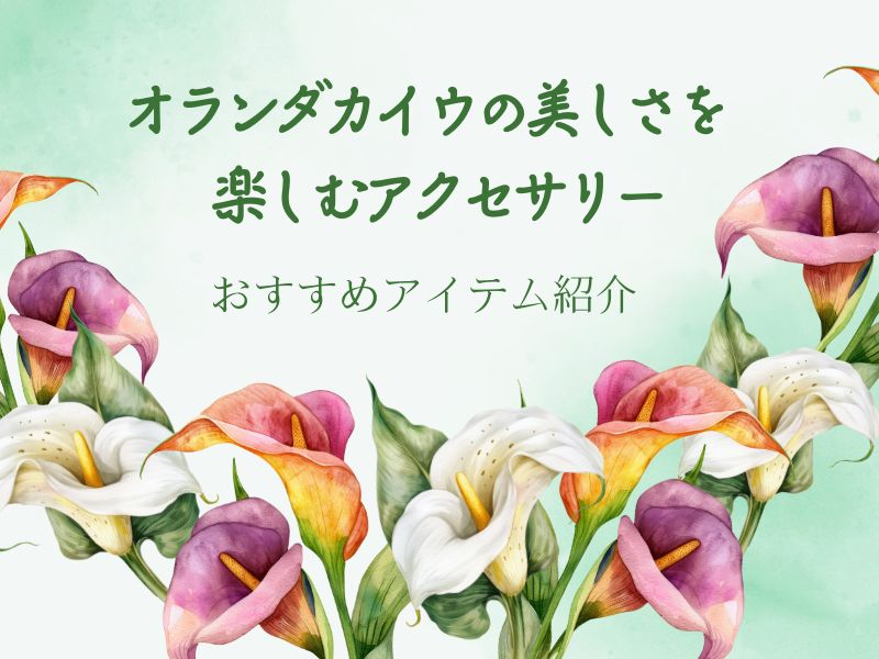 オランダカイウの美しさを楽しむアクセサリー：おすすめアイテム紹介